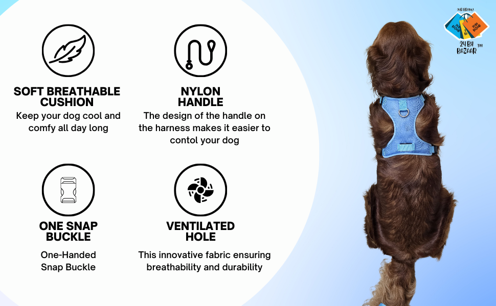 24 BH BAZAAR Combo Pack Dog Harness, Dog Leash, Dog Collar, Name Tag