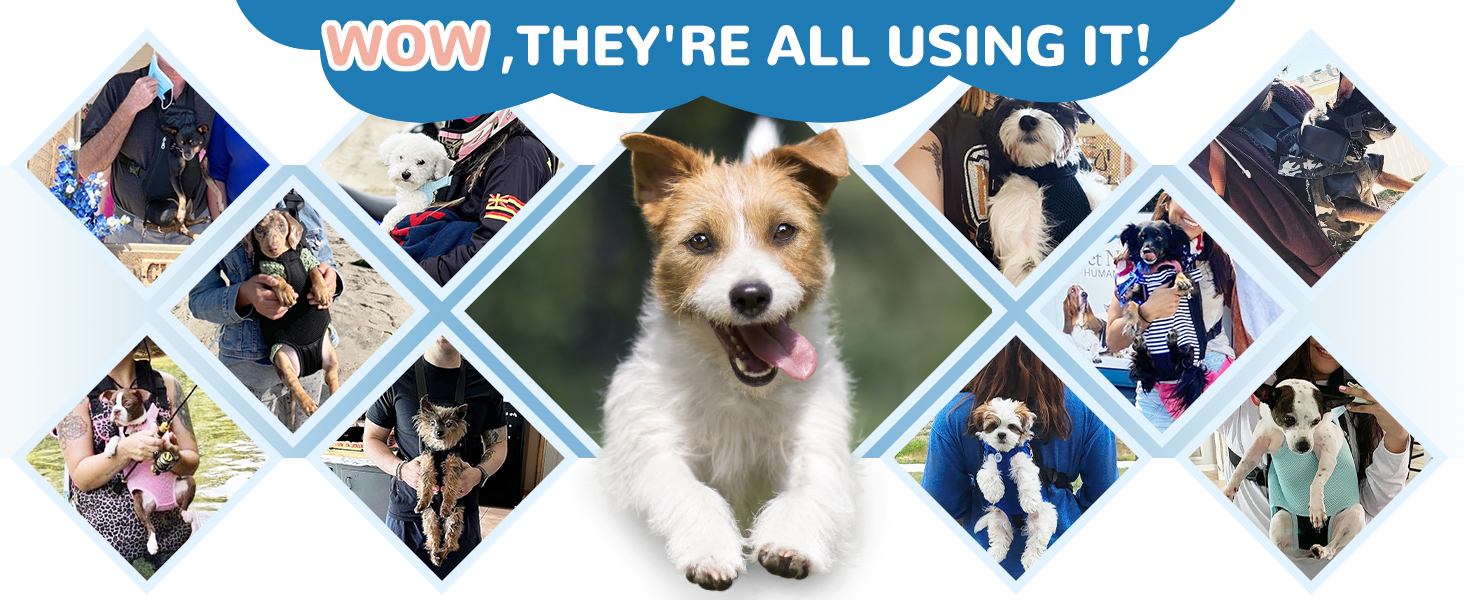 dog carrier backpack