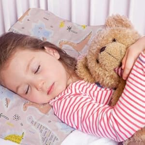 Envelope Closure Baby Small Pillow Cases