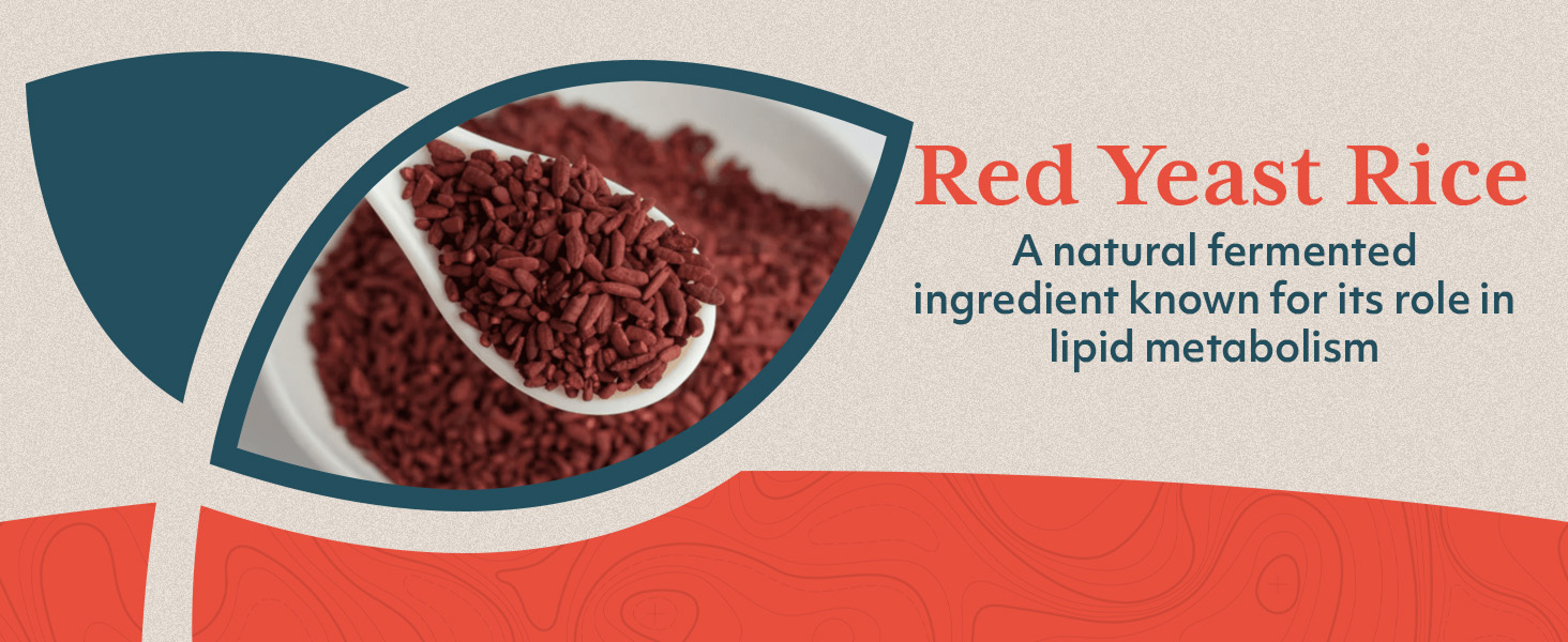 alpha lipoic acid 600mg acido alfa lipoico vitamin plan b slim capsules sciatica palm synergy lipo