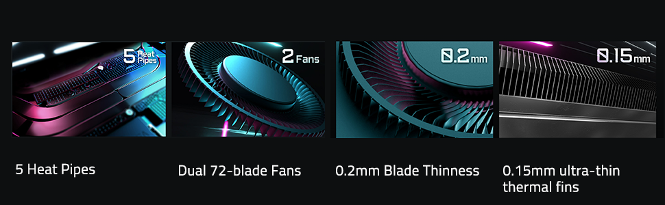 FANS
