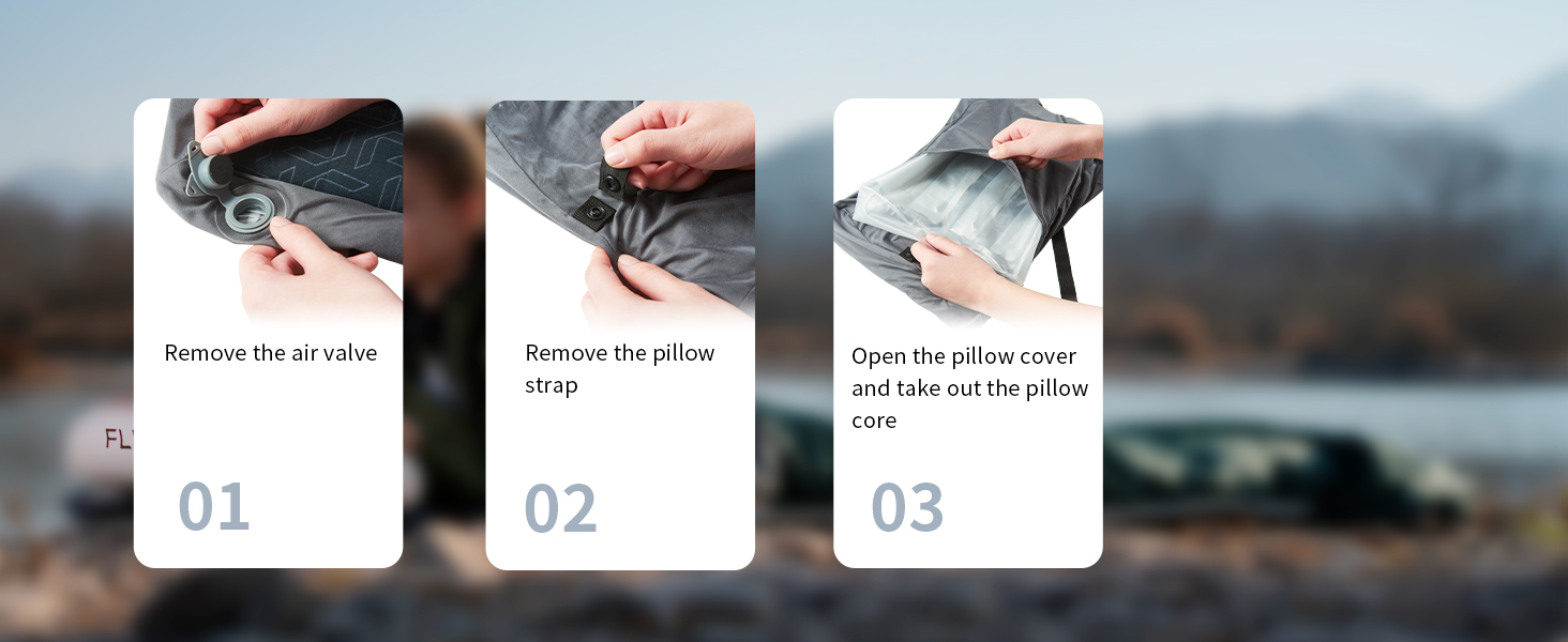 remove the pillow core