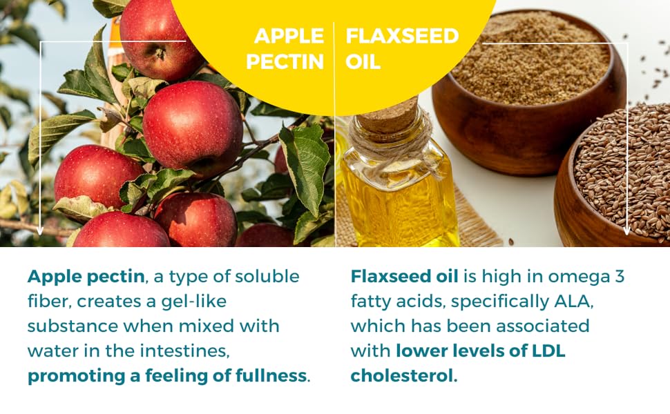 Cholestone Cholesterol Lowering Supplement Plant Sterols Lecithin