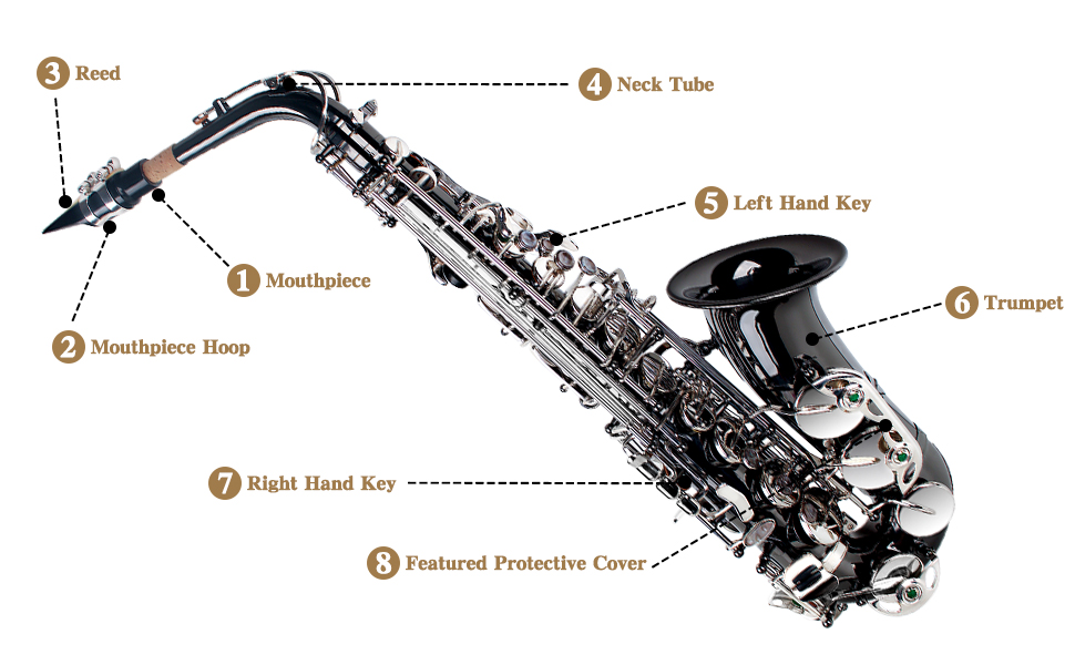 SLADE Saxophone Eb Alto Saxophone for Beginner Students