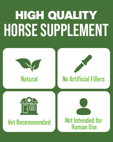 Silver Lining Herbs for Horses Brand Story Carousel horse supplement horse feed horse health