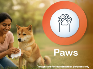 pet wipes