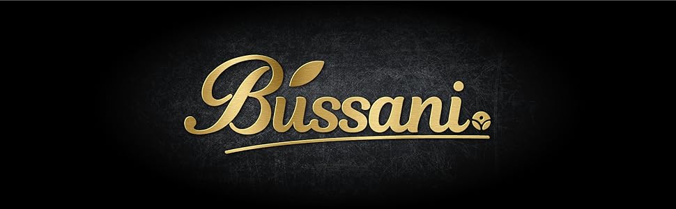 Bussani Logo