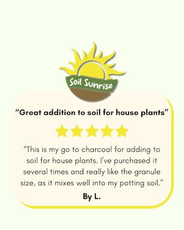 soil sunrise charcoal review 1