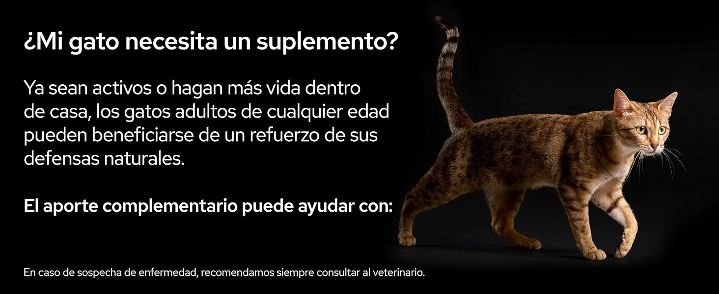 +suplementos + alimento complementario +gatos +perros +purina +pro plan