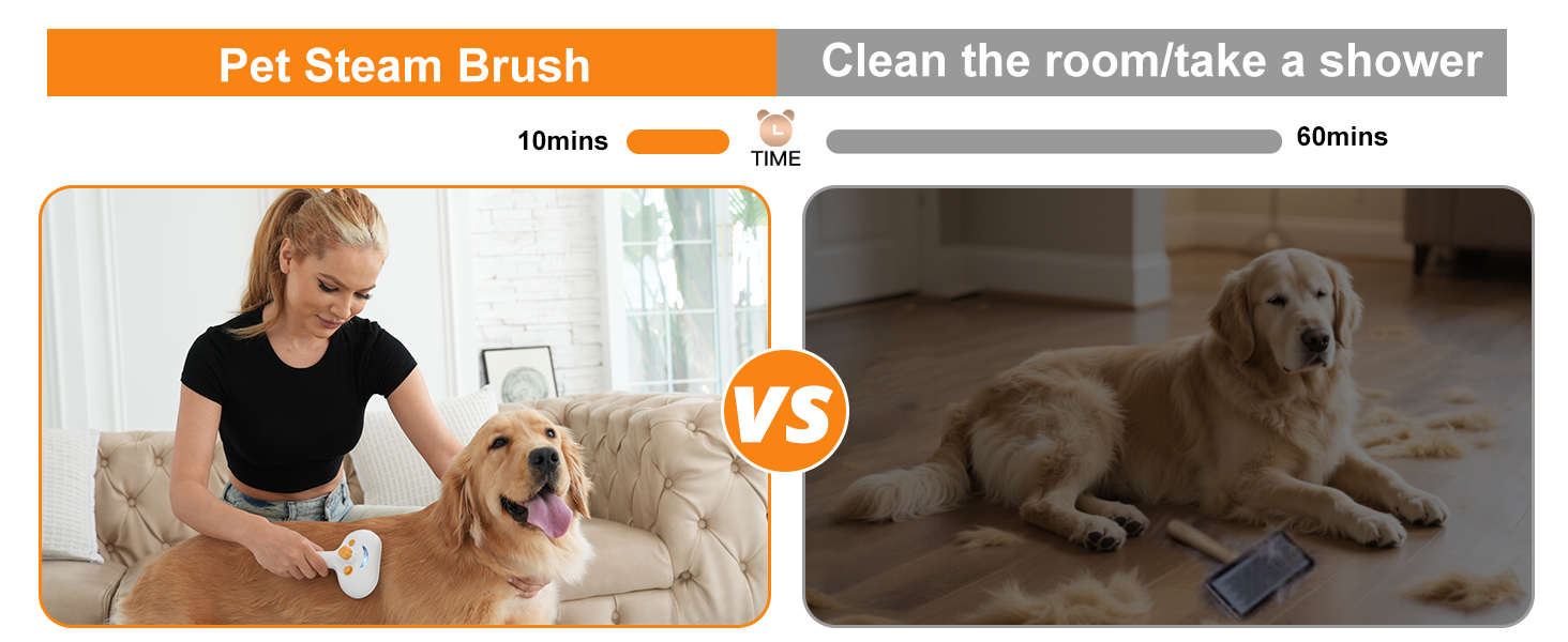 Pet Steam Brush