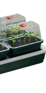 Heated Windowsill Propagator Set