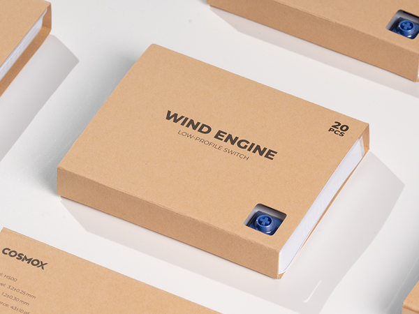 Amazon.com: Kailh Custom Wind Engine Low Profile V2 Switch