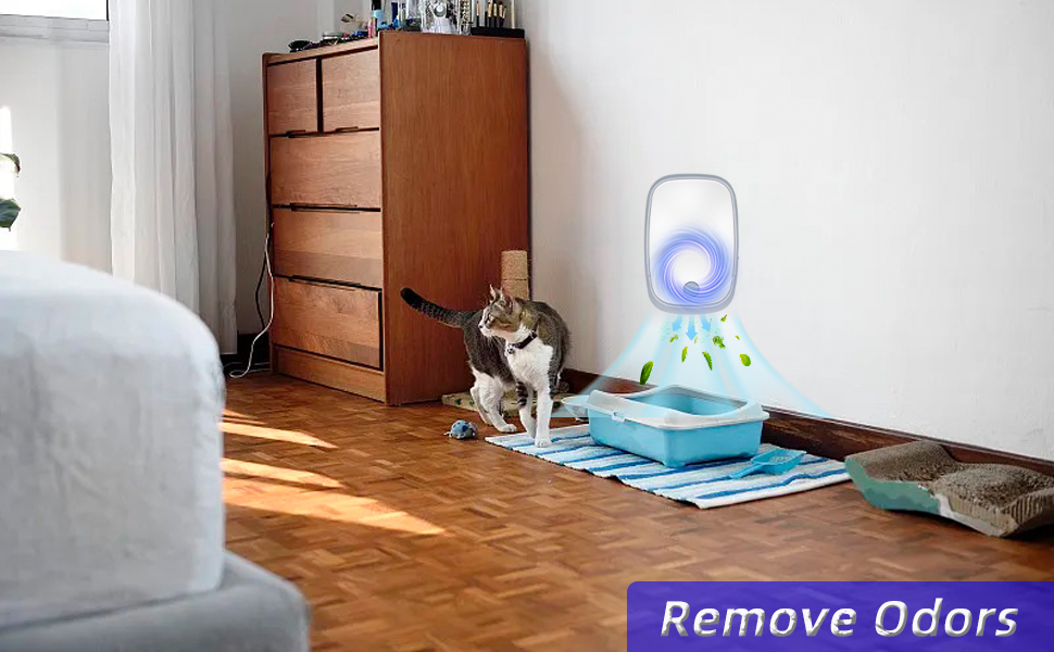 Ionizer Air Purifier, Protable and Quiet Plugin Ionizer