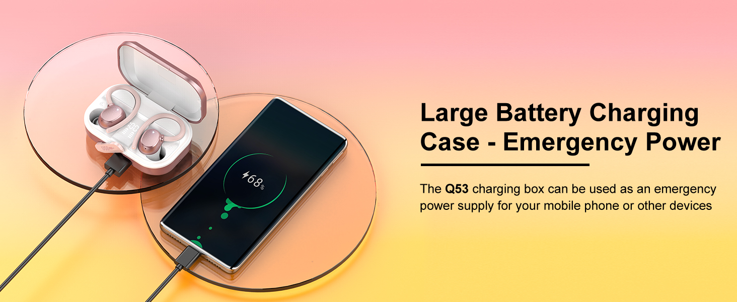 Large Battery Charging Case