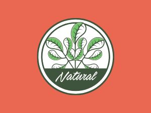 healthy all natural dog treats made in the usa