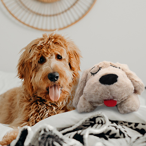 Heartbeat Dog Toy