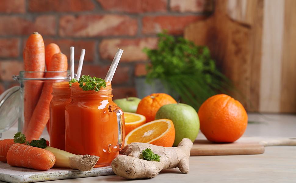 omega juicer parts 8006