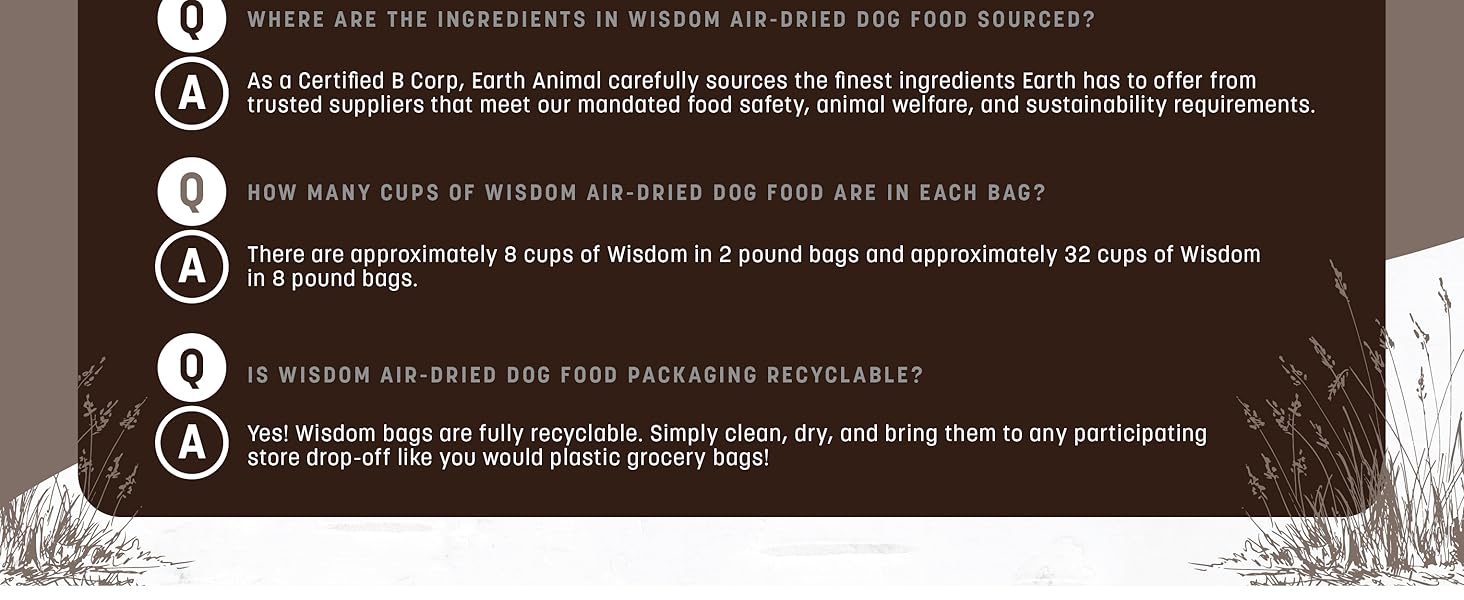 Wisdom Food V2
