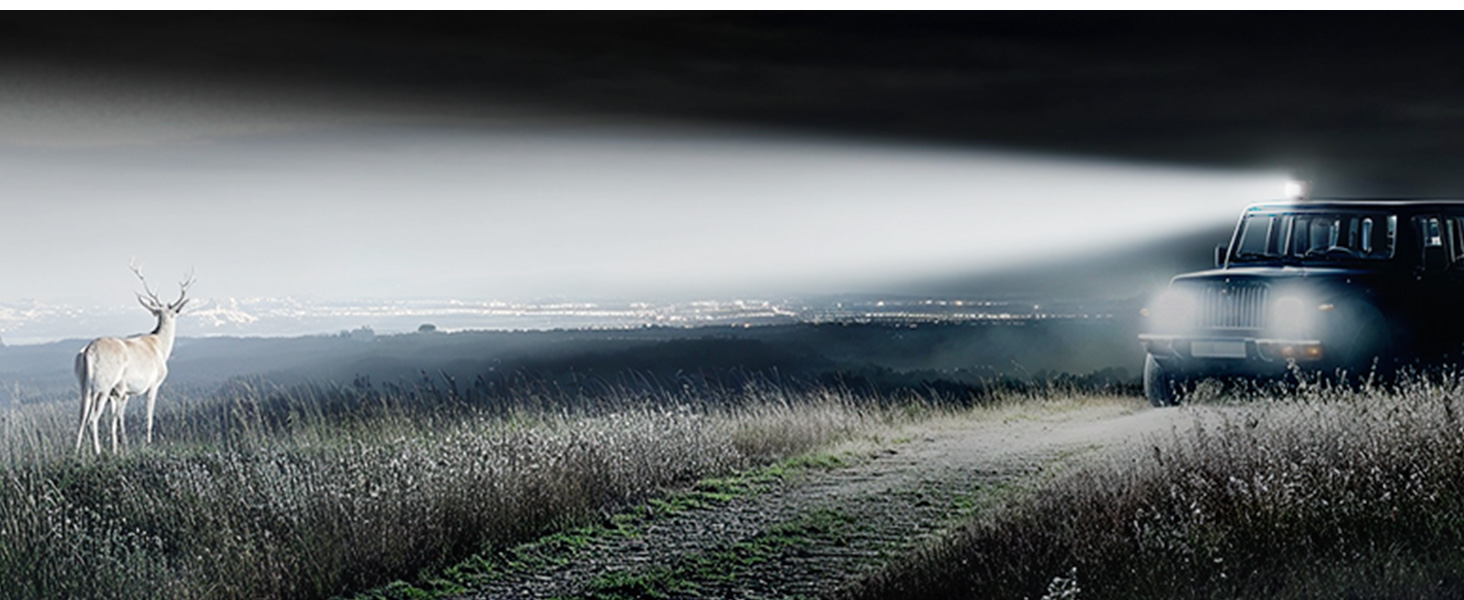 searchlight