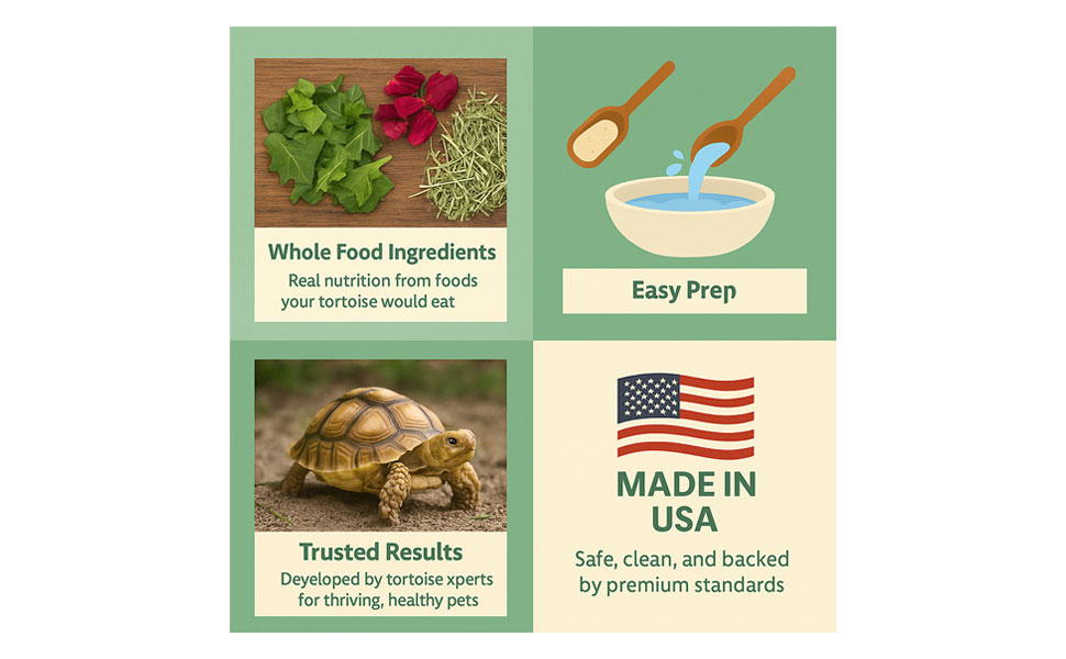 Baby Sulcata Superfood Powder