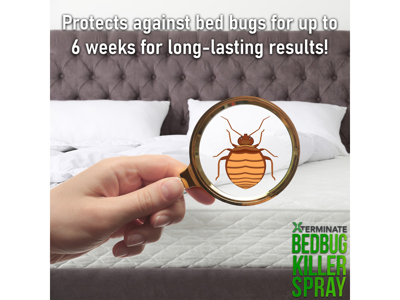 Xterminate Bed Bug Killer Triple Action Insecticide 5L Professional