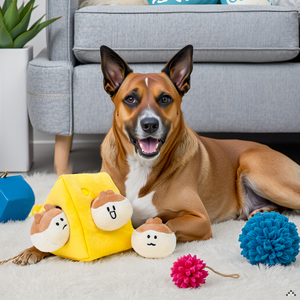 Image generated for ASIN B092QL8V3J