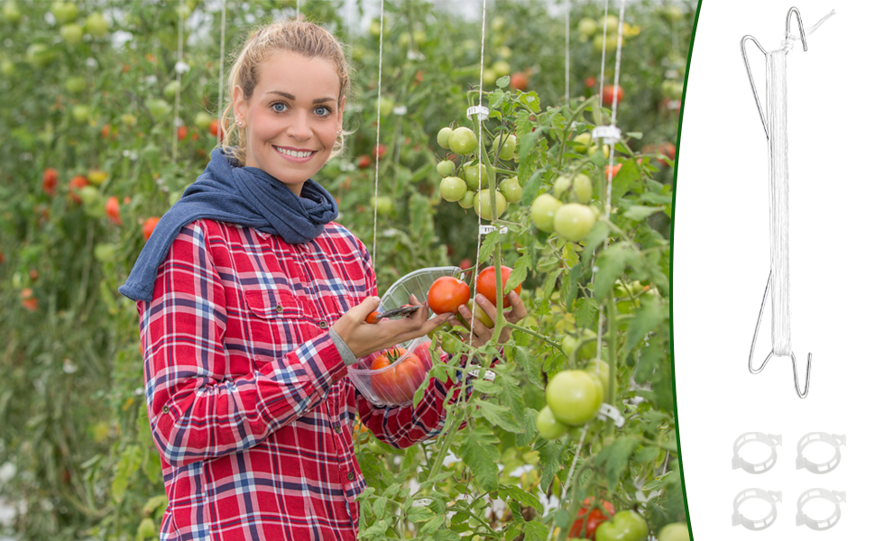tomato hook with string