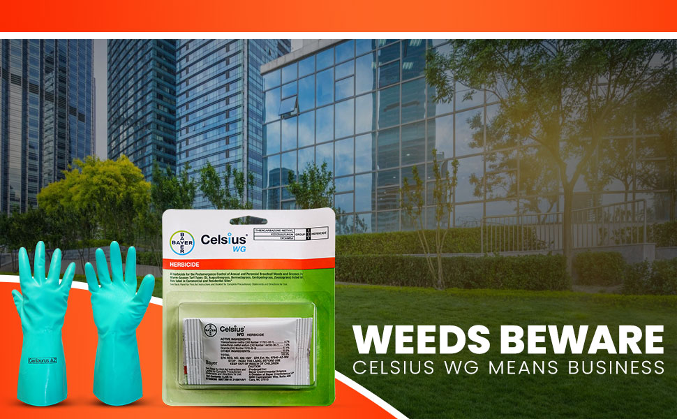 Celsius WG Herbicide Broadleaf Weed Killer for Lawns