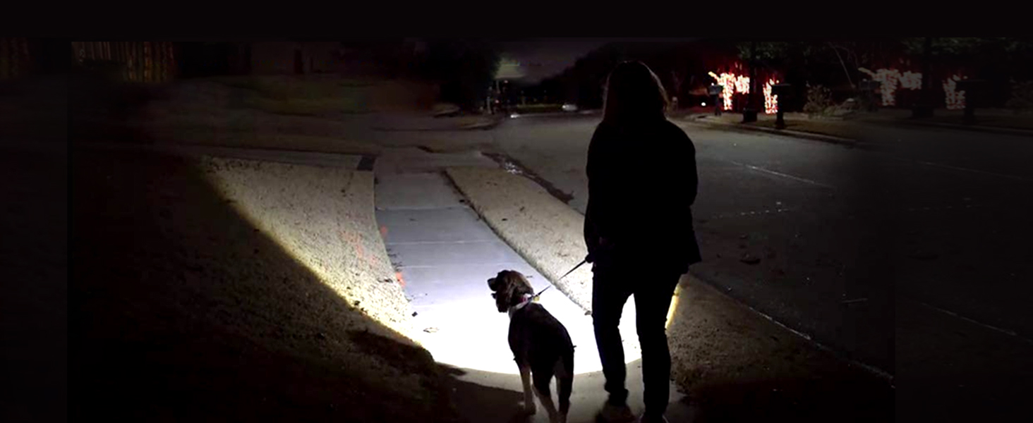 Dog Walking