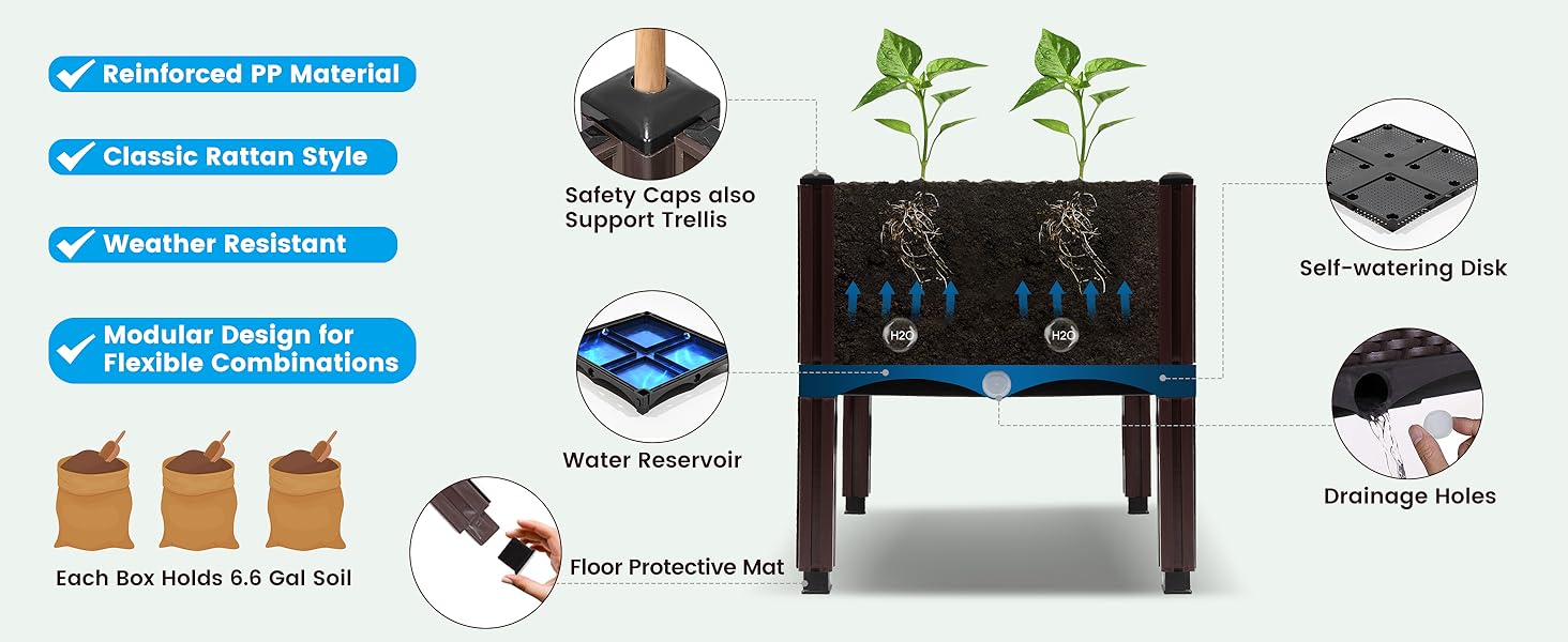 grow favorite fresh and healthy veggies herbs seasonal flowers