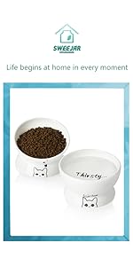 cat bowls