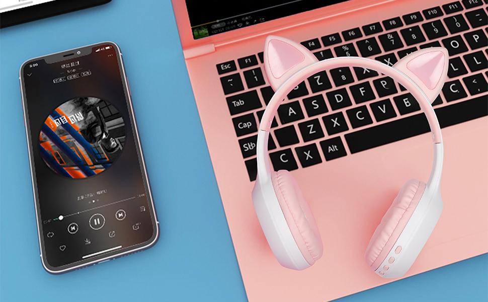 Richest kids headphone 