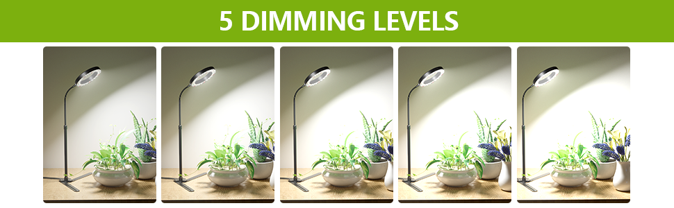 sun light white plant lamp