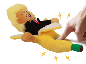 dog toy