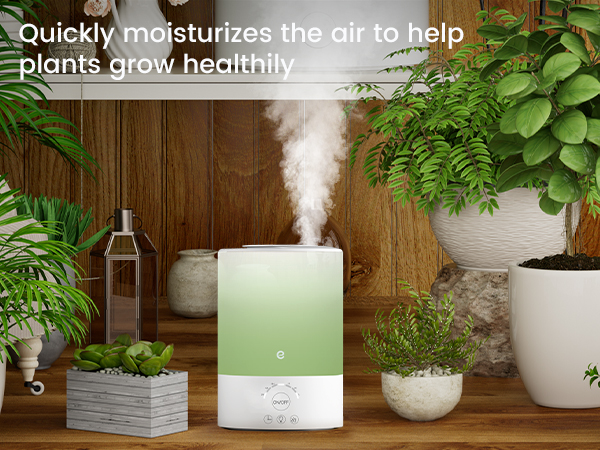 humidifiers for bedroom