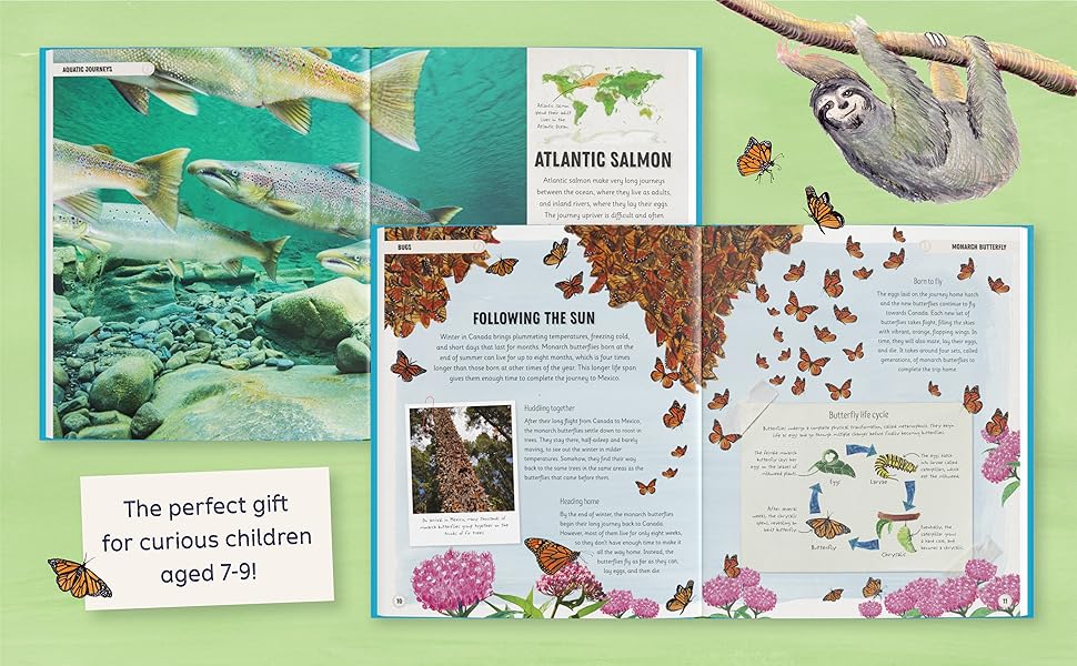 Amazing Animal Journeys The Most Incredible Migrations in the Natural World (DK Amazing Earth