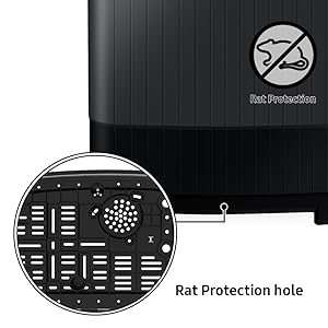 Rat Protection