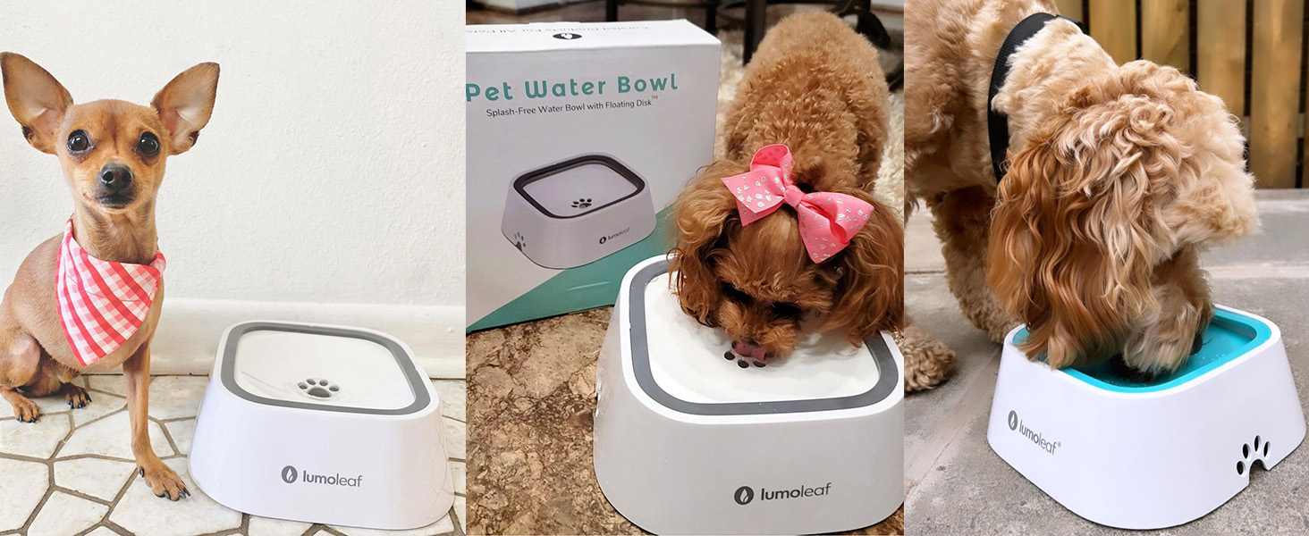 wassernapf für hunde anti spill schwapp wasserspender unterwegs hundenapf hund