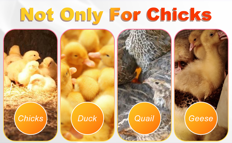 DeeprBetter Brooder Heater for Chicks,Brooder Plate 12" x