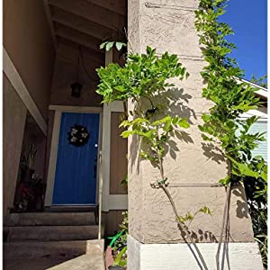 Small manufacture image 7