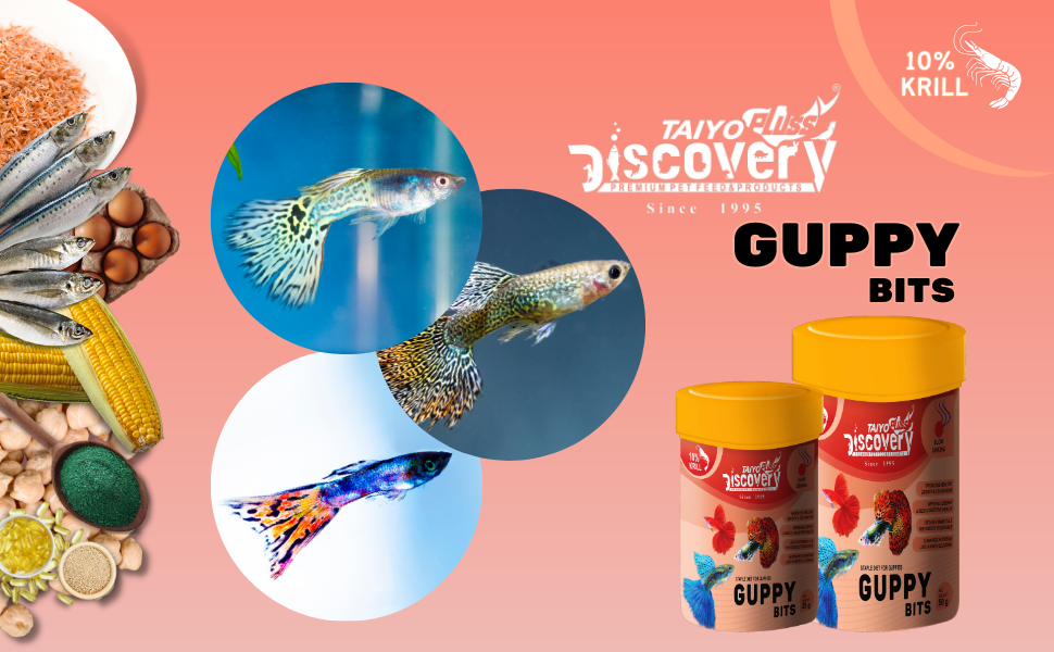 taiyo guppy bits fish food micro pellets aquarium