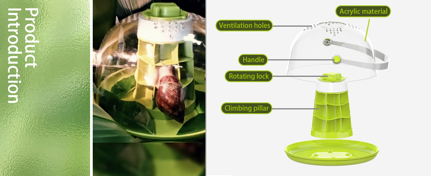 Snail Terrariums Breeding Box