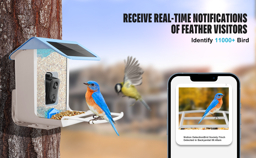 BROAIMX Smart Bird Feeder Camera,1080P HD Camera Auto Capture Bird