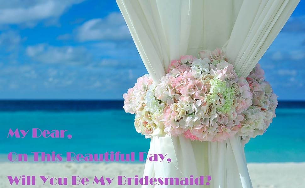 will you be my bridesmaid?