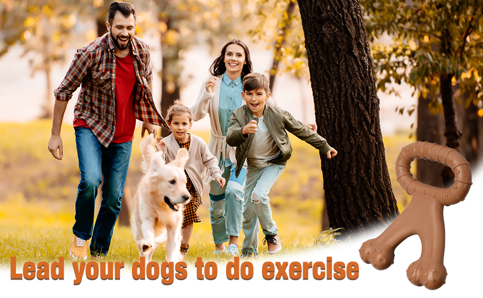 Qishare Tough Dog Toys for Aggressive Chewers Large Breed, Durable Dog