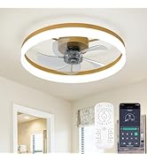 FTZVRD Ceiling Fans with Lights, 20