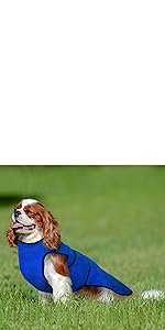 dog cooling vest coat jacket medium M pug king charles cavalier