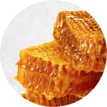 CERA ABEJA