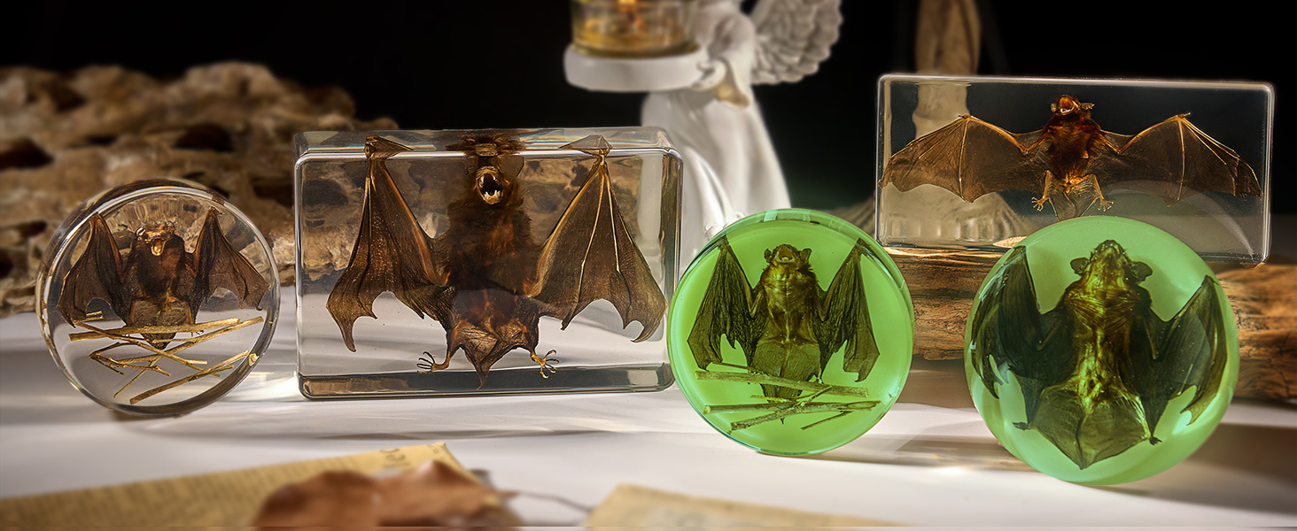 bat in resin