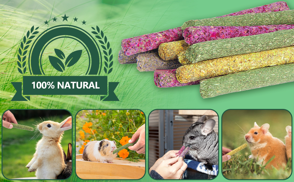 40PCS Rabbit Chew Sticks with Lavender